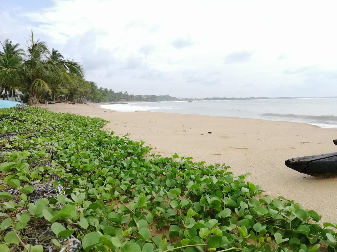 Mars Hotel Tangalle Exteriör bild