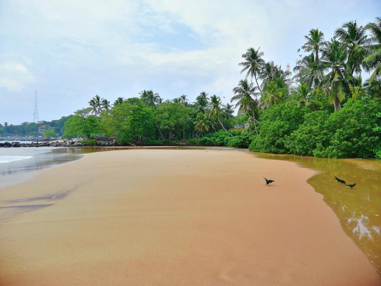 Mars Hotel Tangalle Exteriör bild